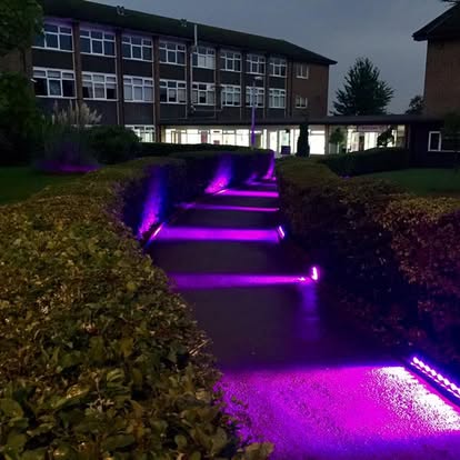 Purple outdoor pathway and wall lighting